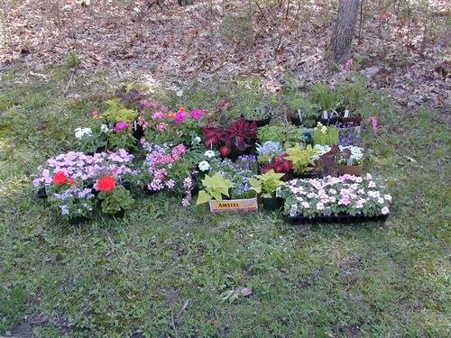 The Spring Haul: 2003
