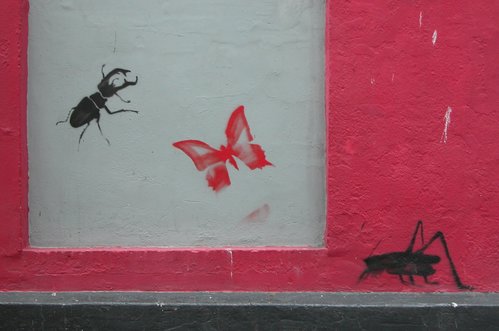 Beetle, Butterfly, Cricket