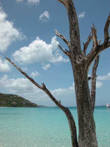 Cinnamon Bay