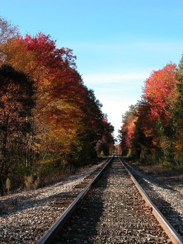 Tracks