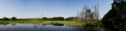 Rail trail pond (panorama)