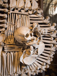 Bone crow eats eye from skull with bone hat.