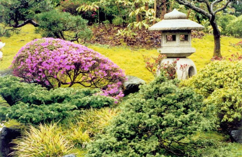 Japanese Garden