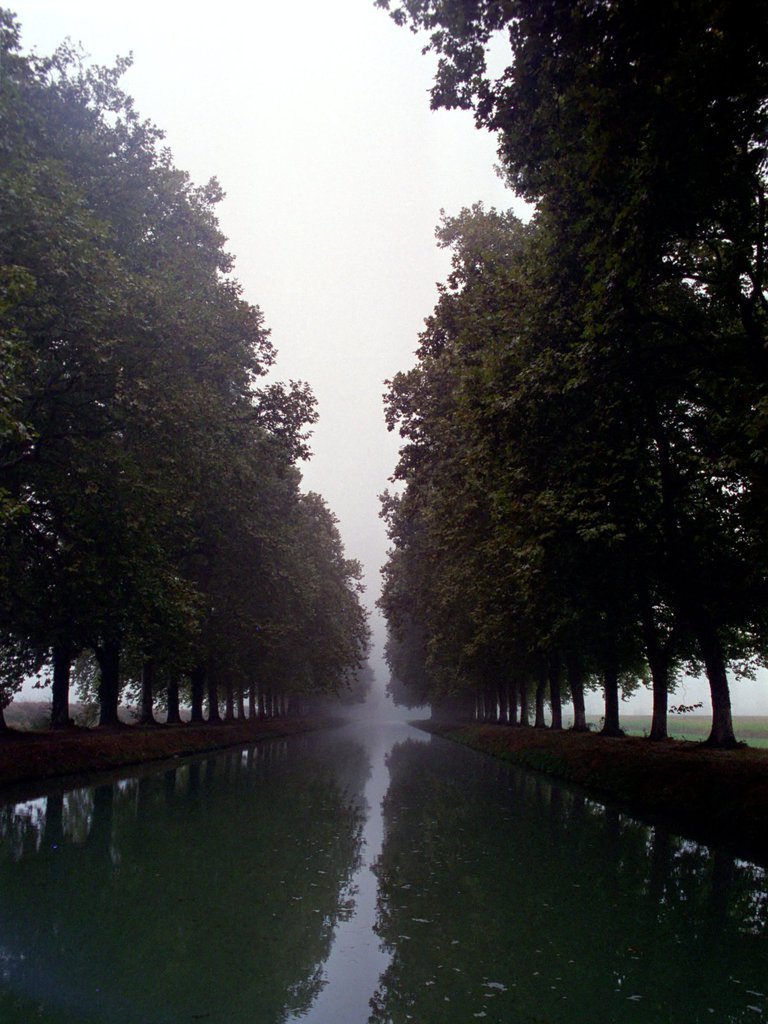 The Canal du Midi