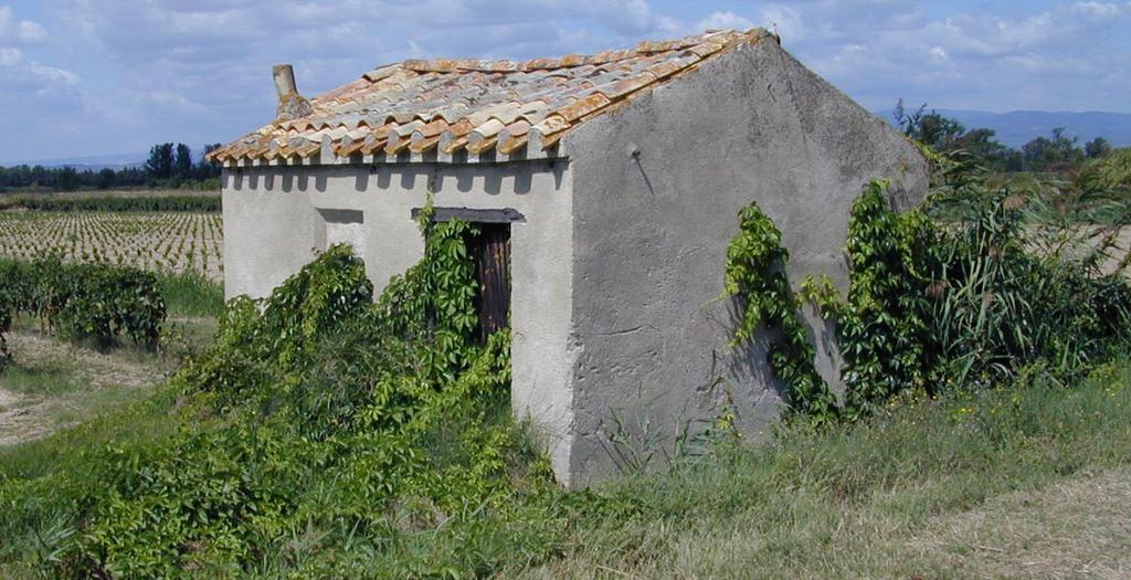 The French countryside