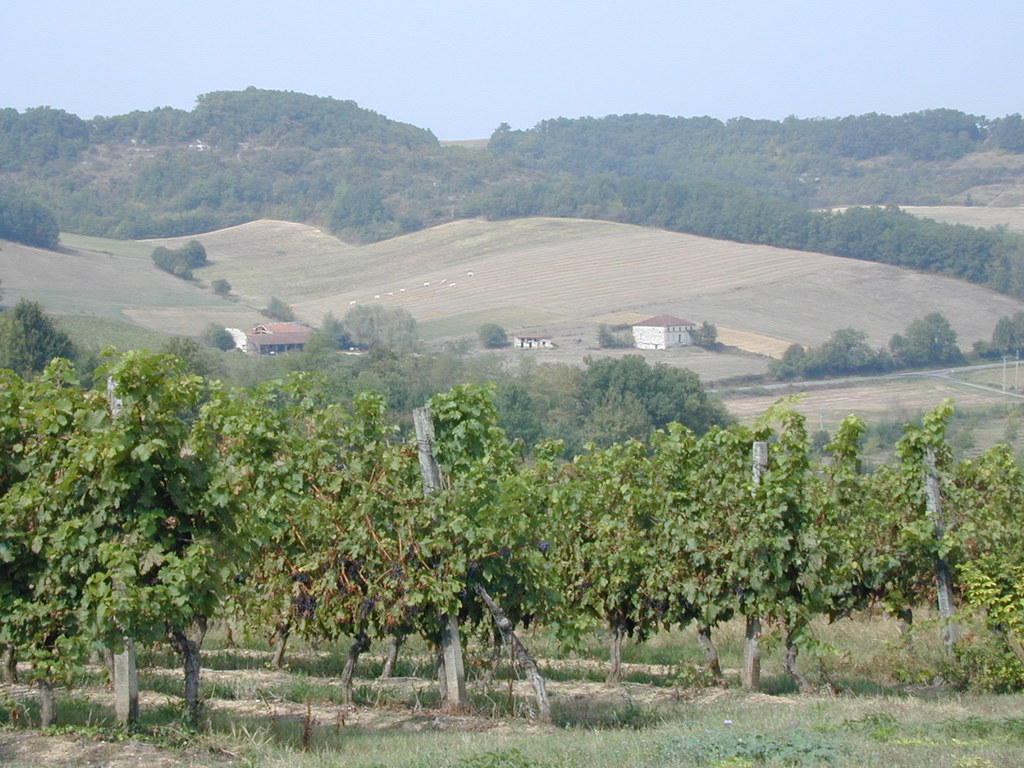 The French countryside