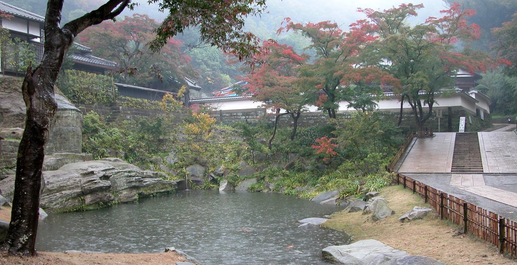 Koi Pond