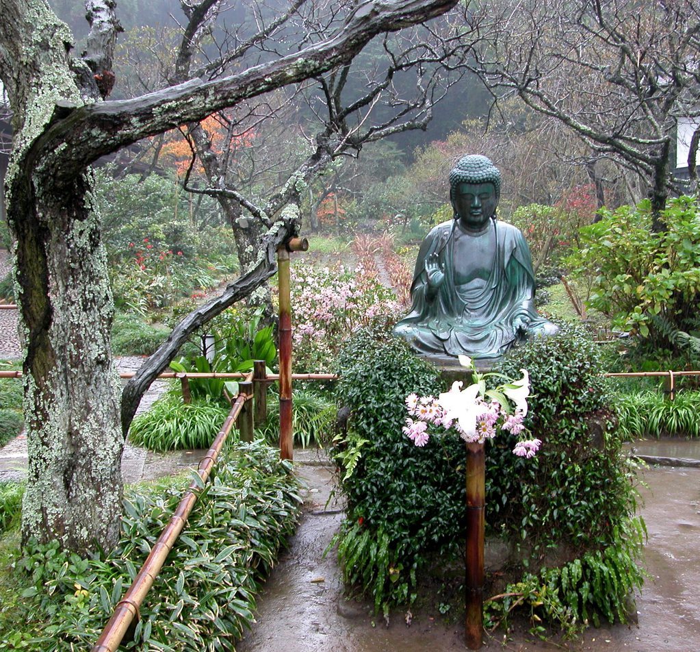 Budda Near