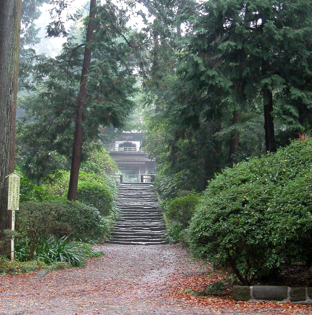Path