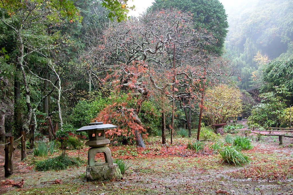 Landscape