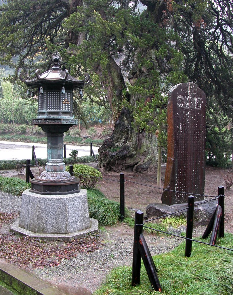 Lantern