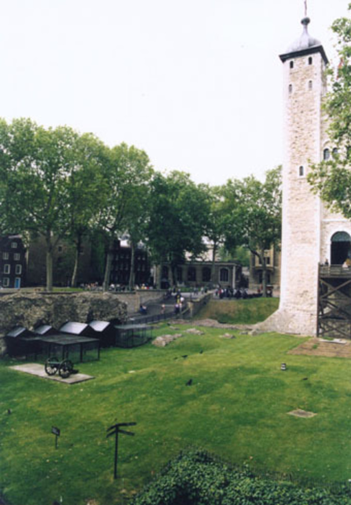 The White Tower and the Ravens at the Tower of London