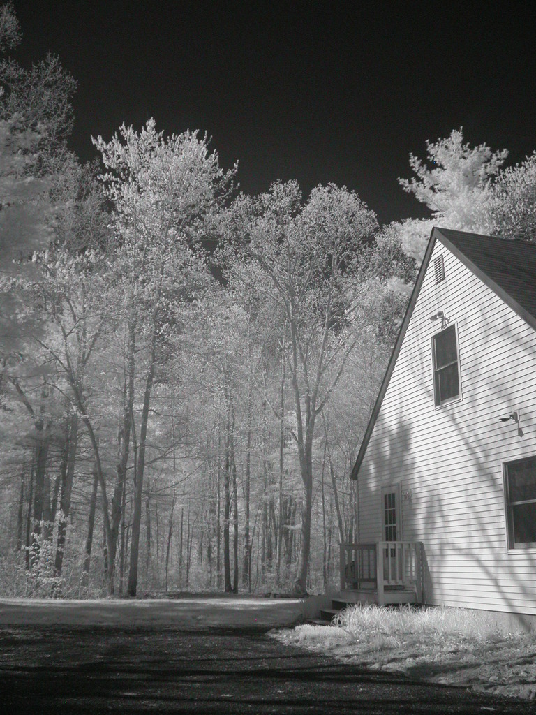 Back yard: IR
