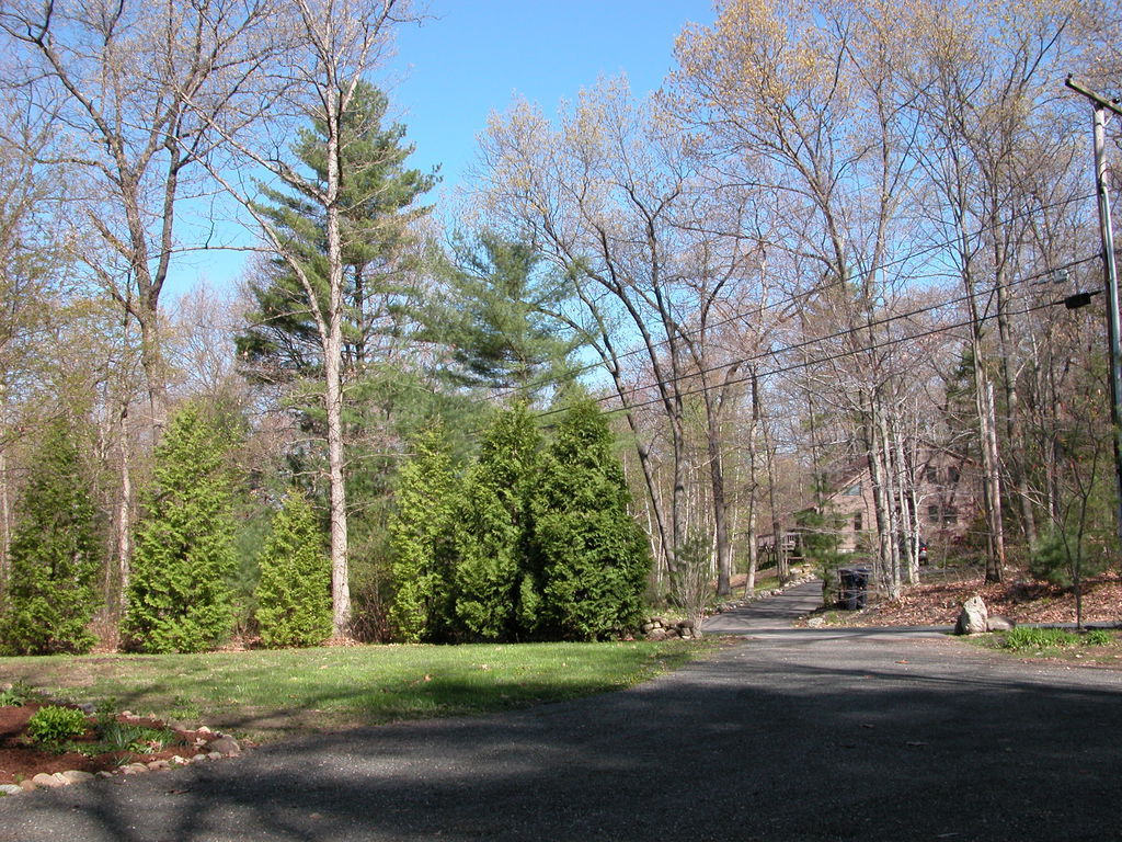 Front yard