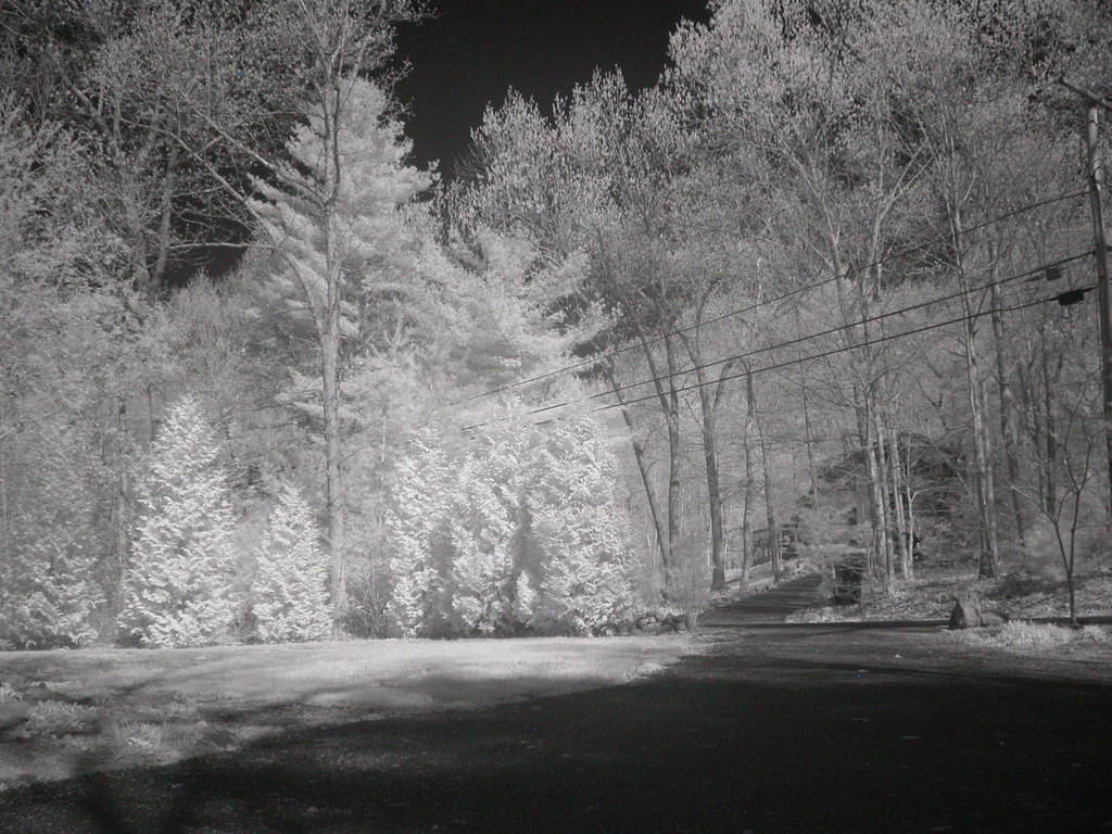 Front yard: IR