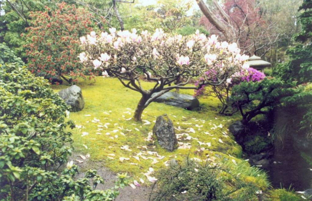 Japanese Garden