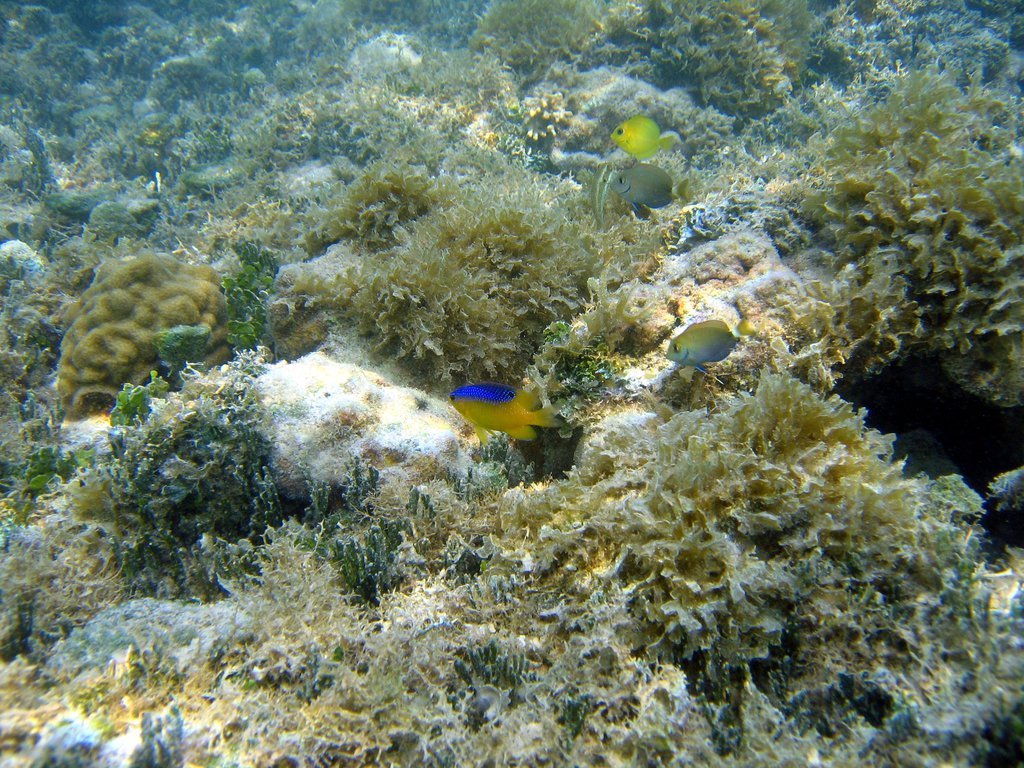 20050510-195041.jpg