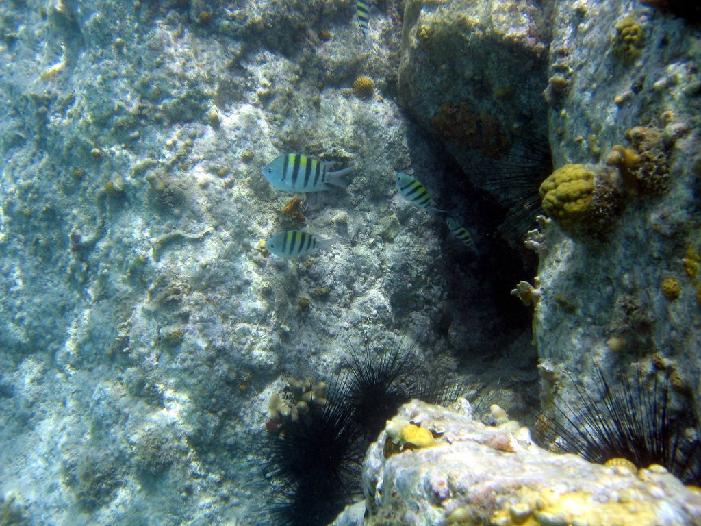 20050510-153638.jpg