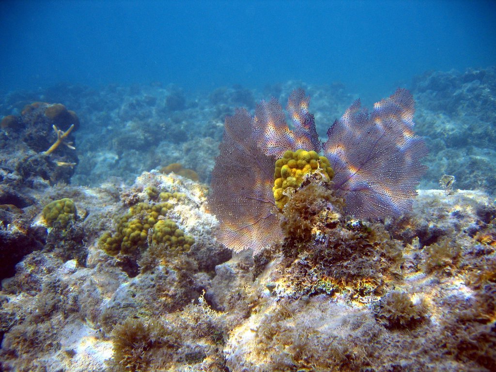 20050510-201126.jpg