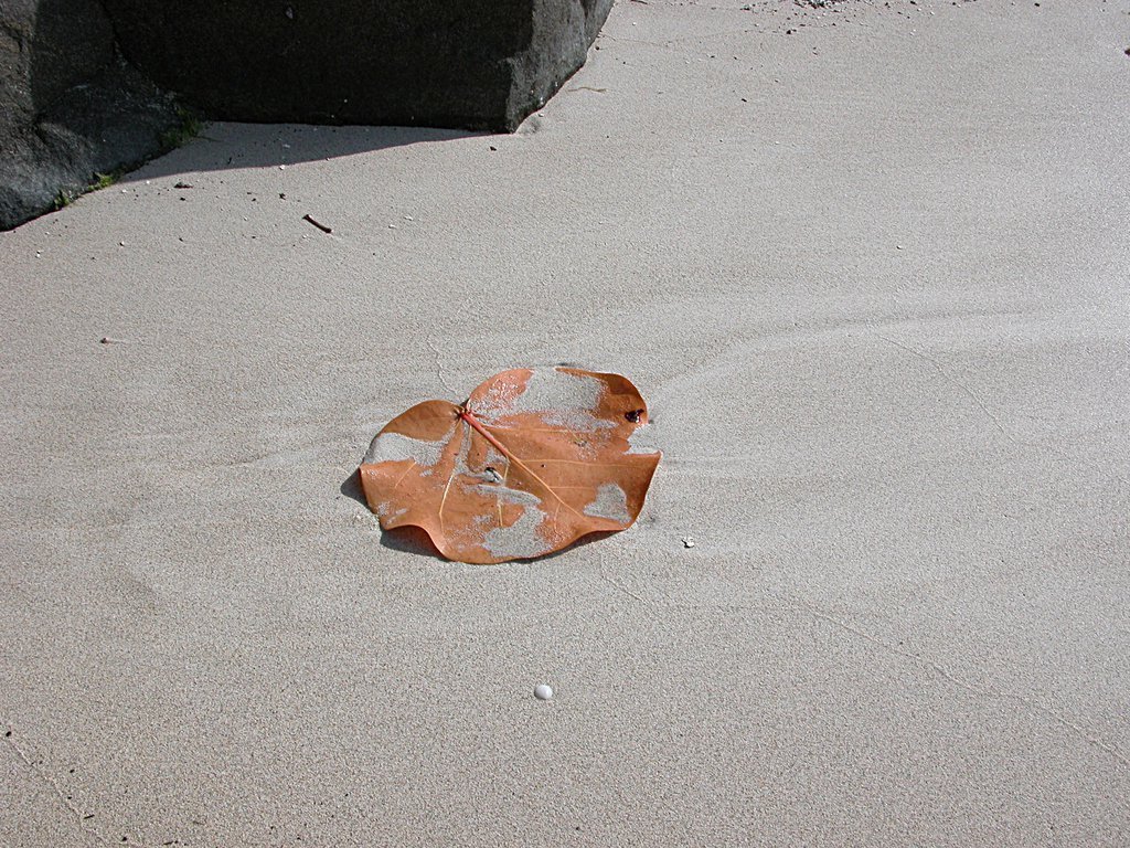 20050511-202759.jpg