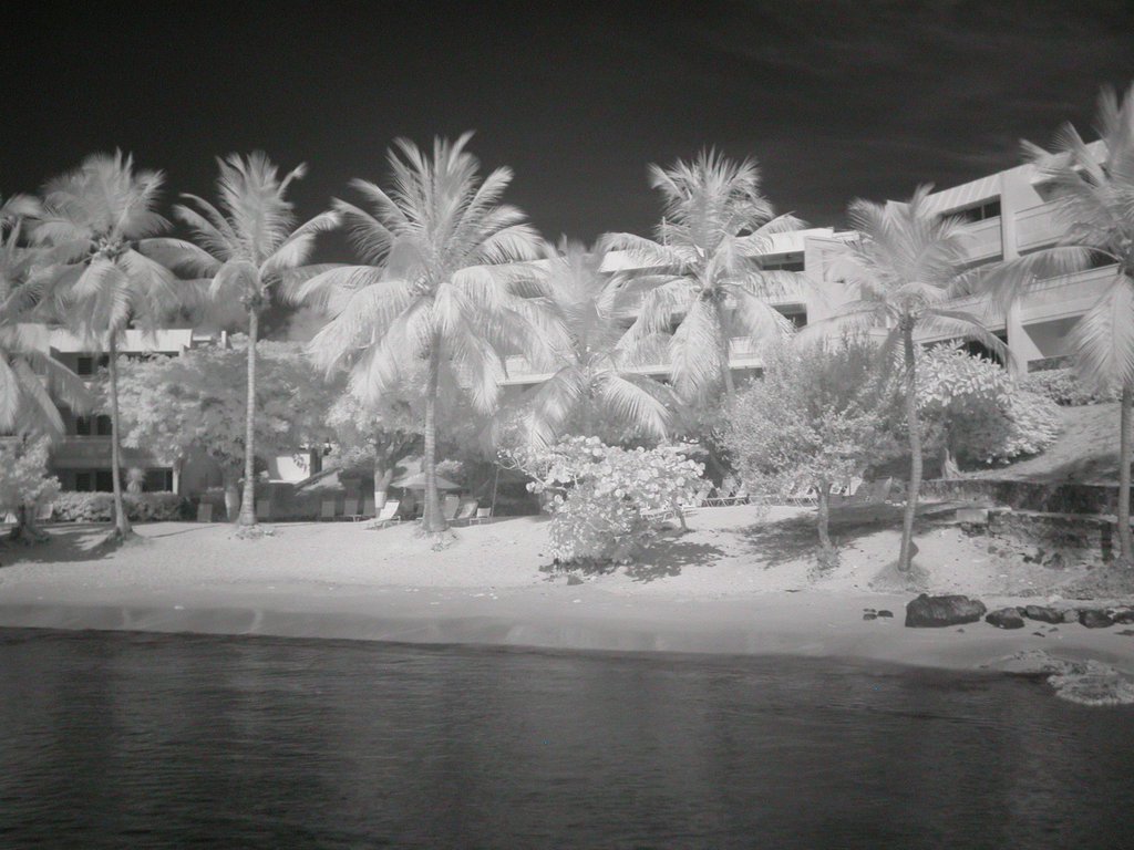 20050511-202408.jpg
