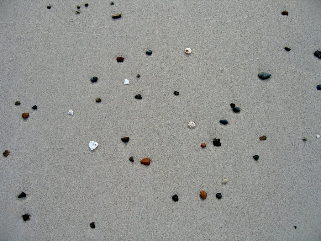 20050511-122448.jpg