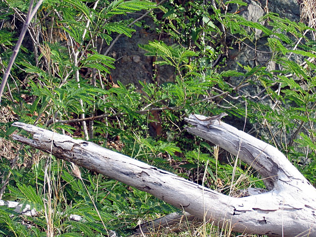 20050511-121802.jpg