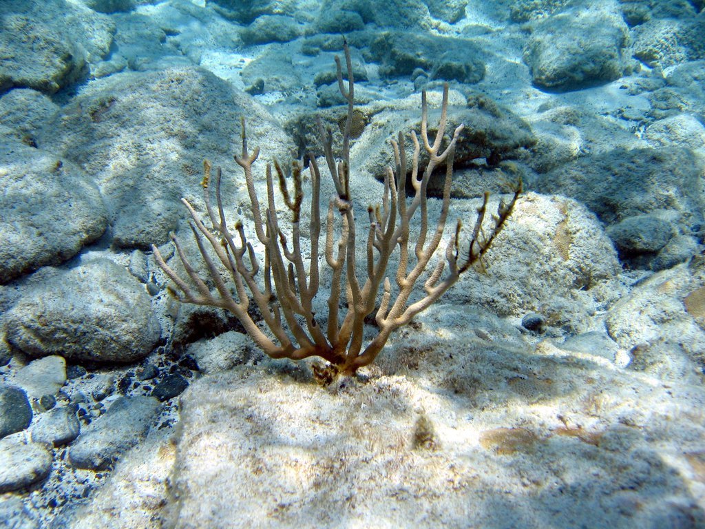 20050511-155446.jpg