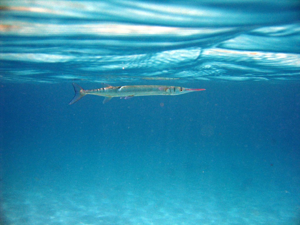 20050511-155213.jpg