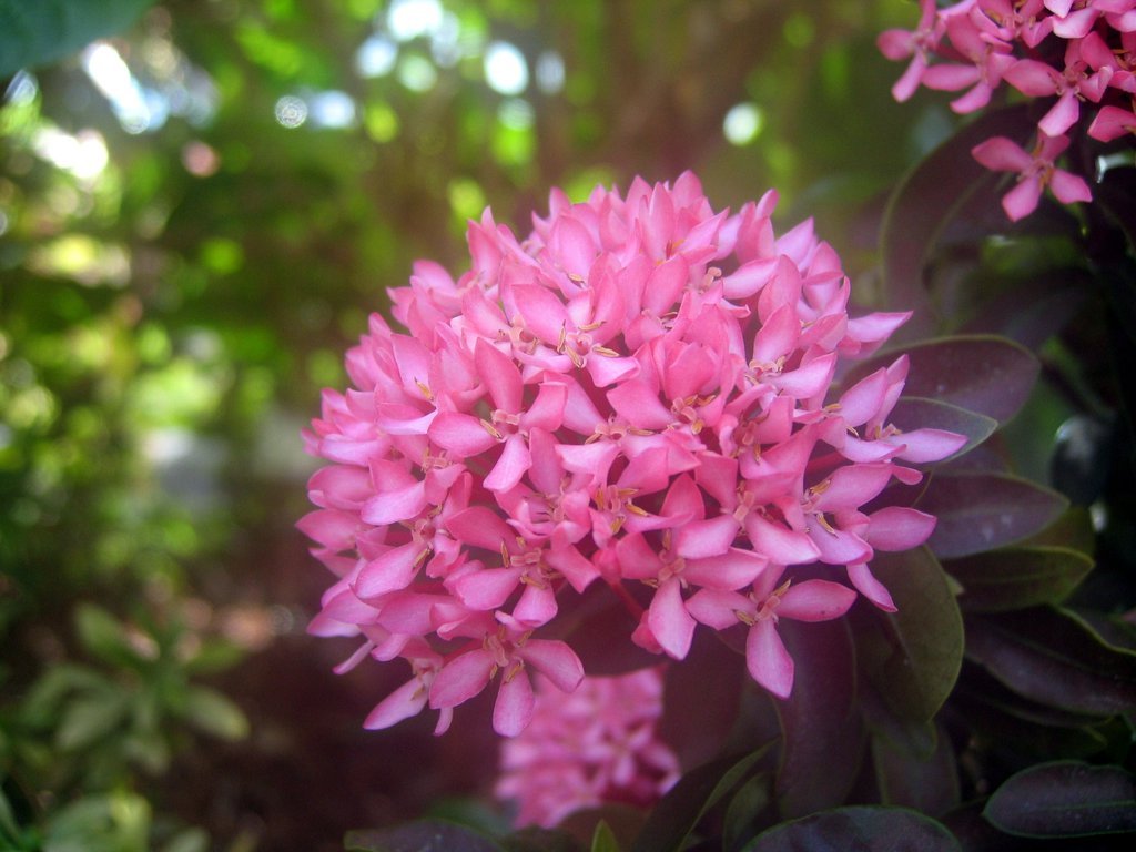 20050511-120805.jpg