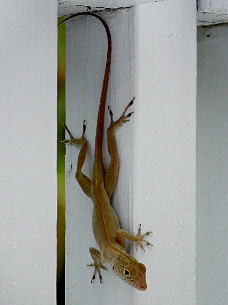 20050512-193047.jpg