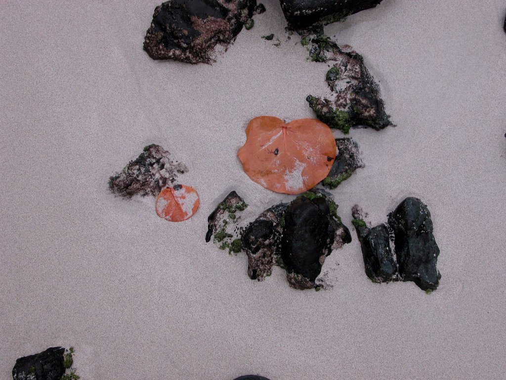 20050512-182103.jpg