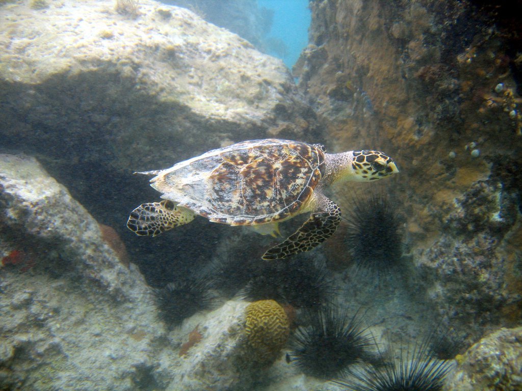 20050512-202114.jpg
