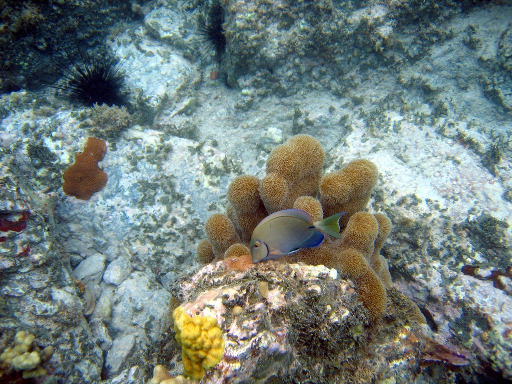 20050512-200334.jpg