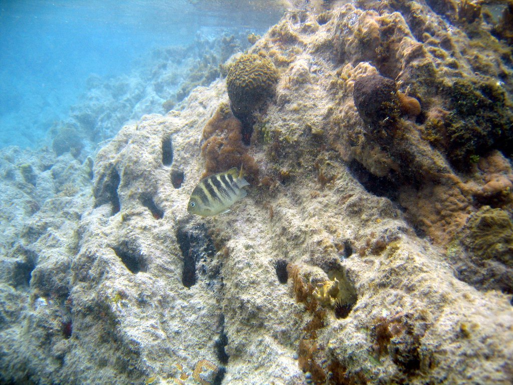 20050512-200018.jpg