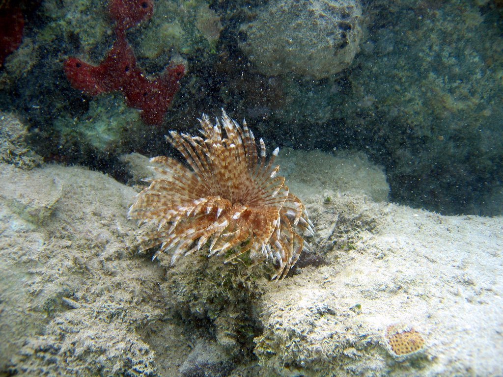 20050512-195244.jpg