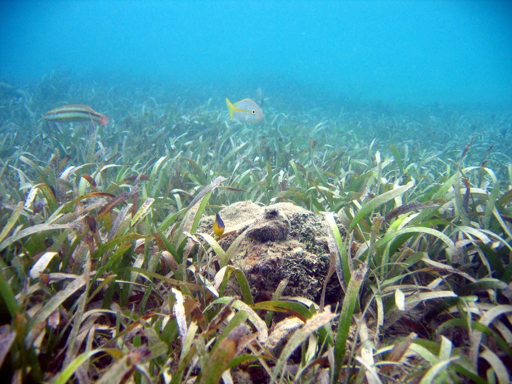 20050512-194728.jpg
