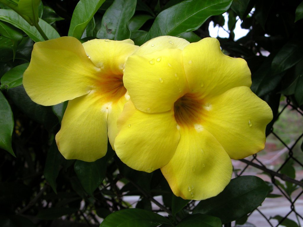 20050512-181144.jpg
