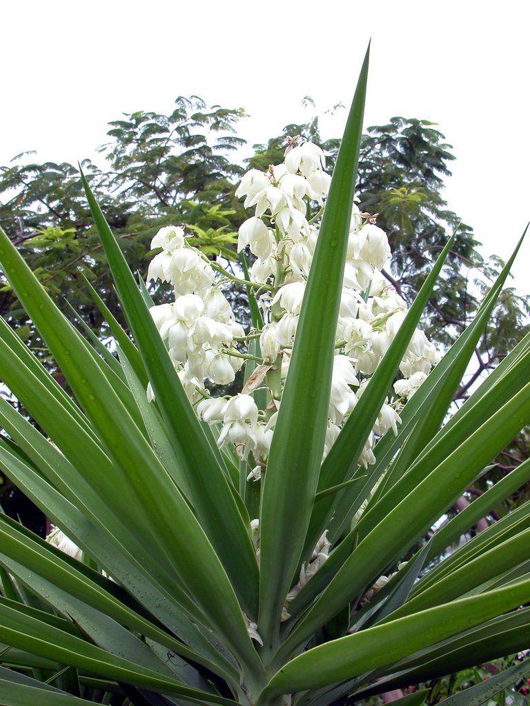 20050512-175554.jpg