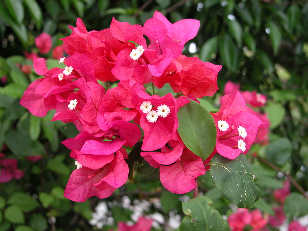 20050512-175454.jpg