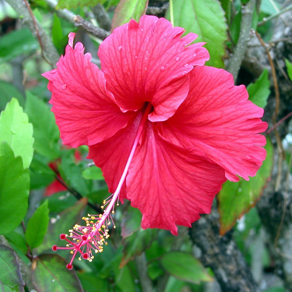 20050512-175420.jpg