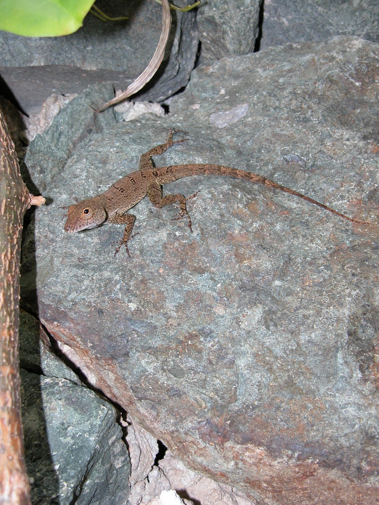 20050513-184415.jpg