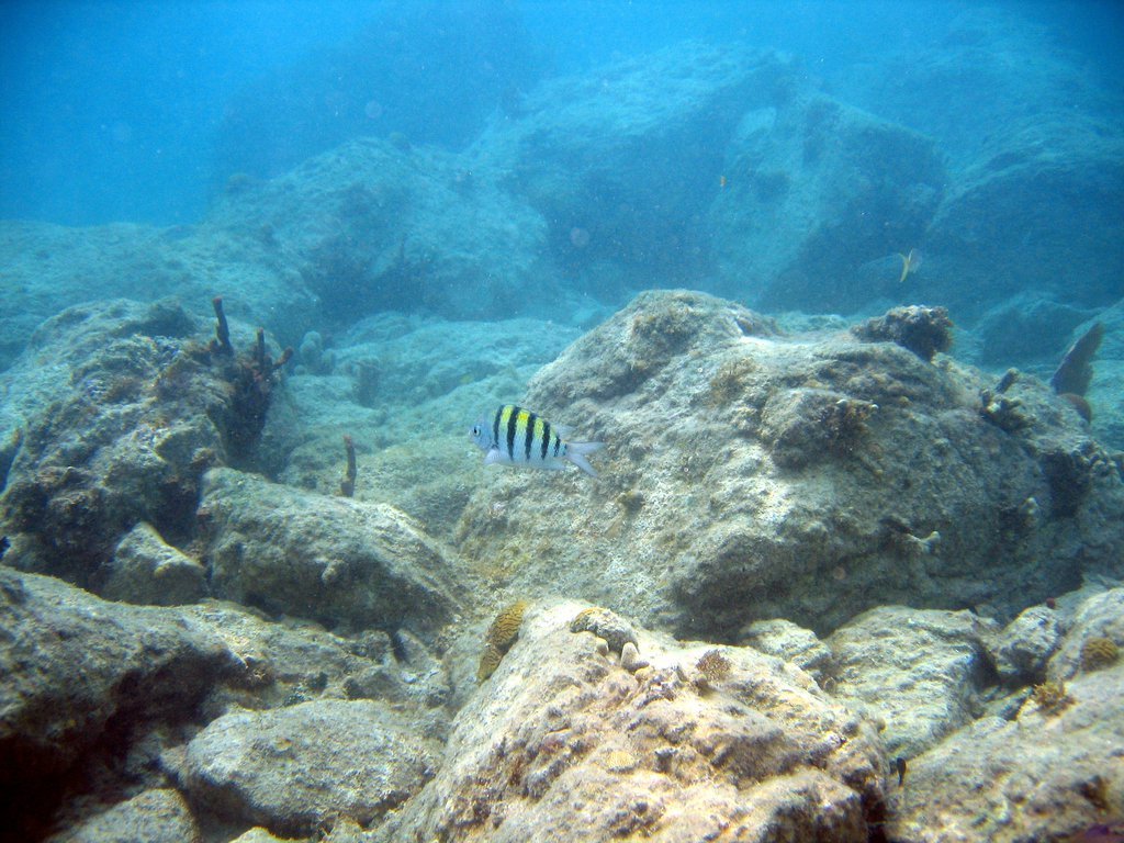 20050513-193008.jpg