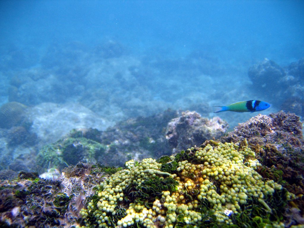 20050513-192609.jpg