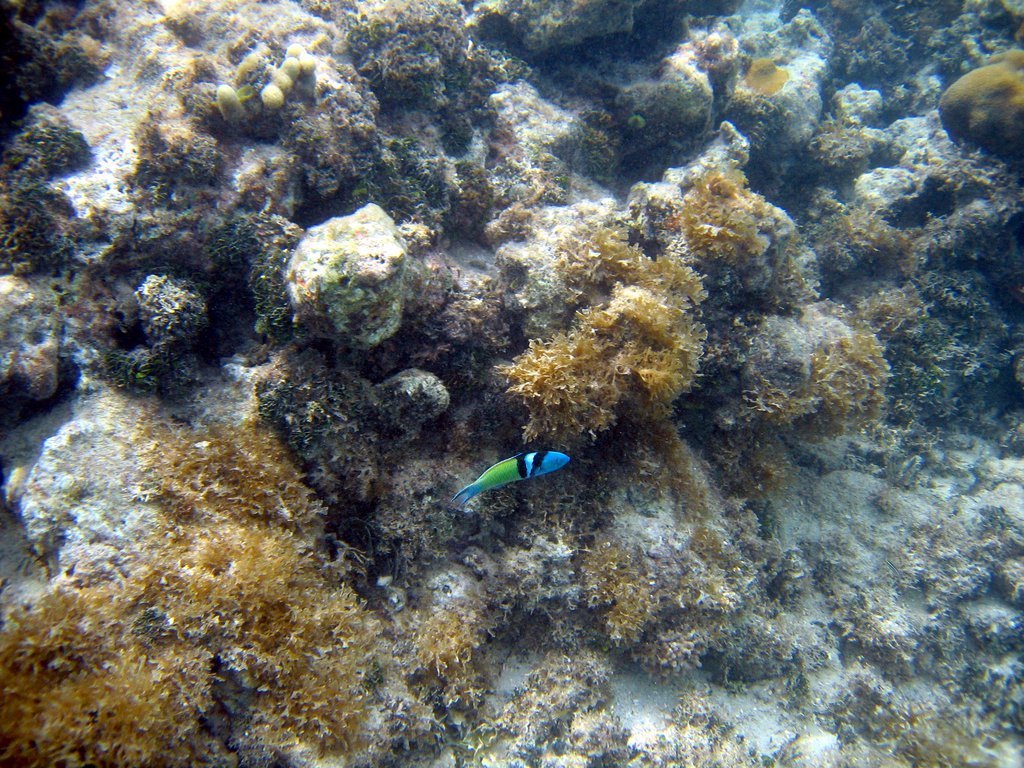 20050513-191832.jpg