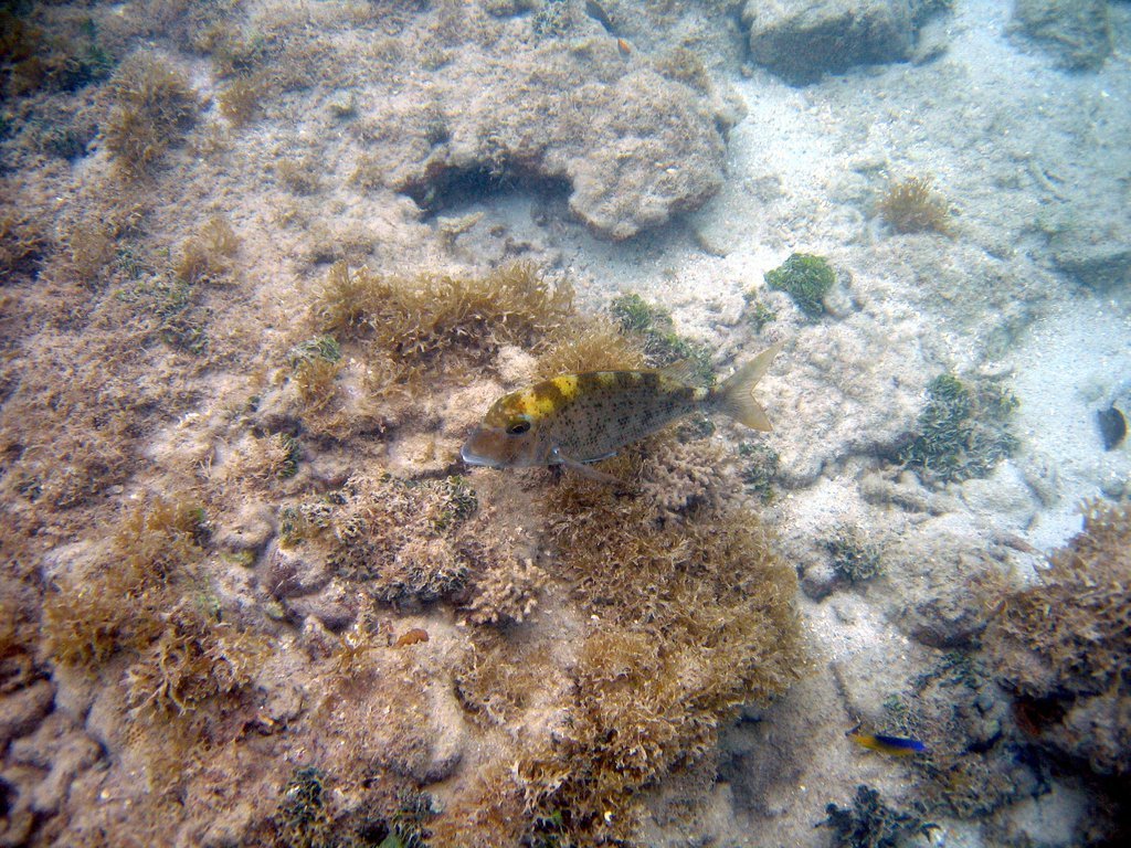 20050513-200154.jpg