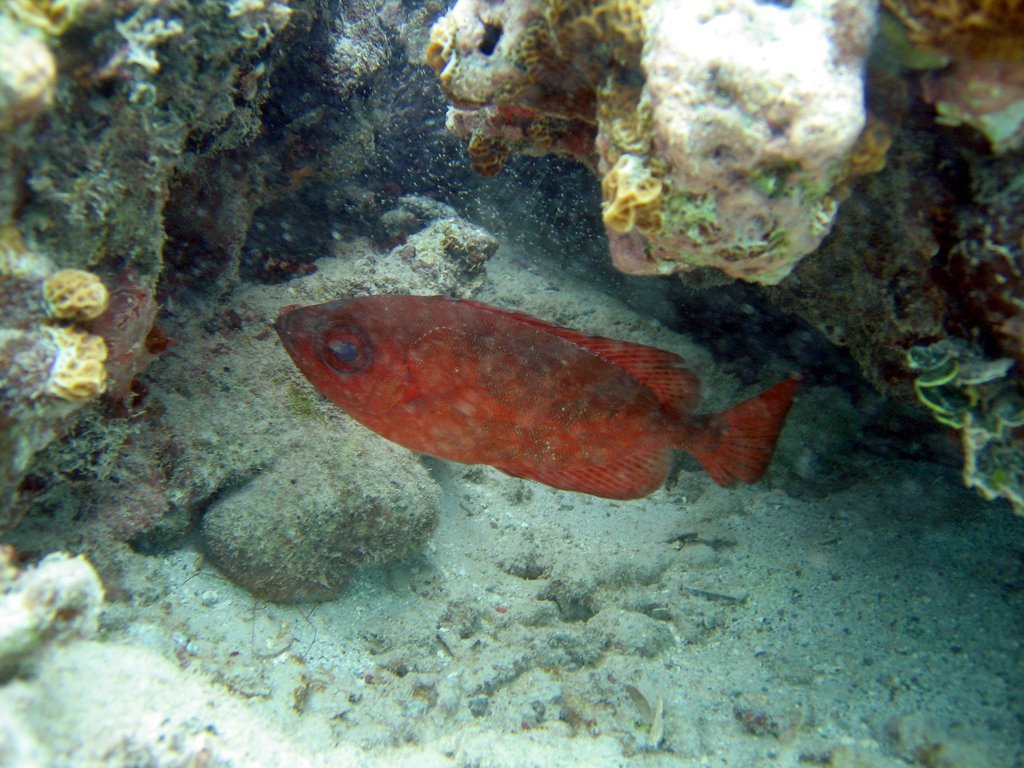20050513-194239.jpg
