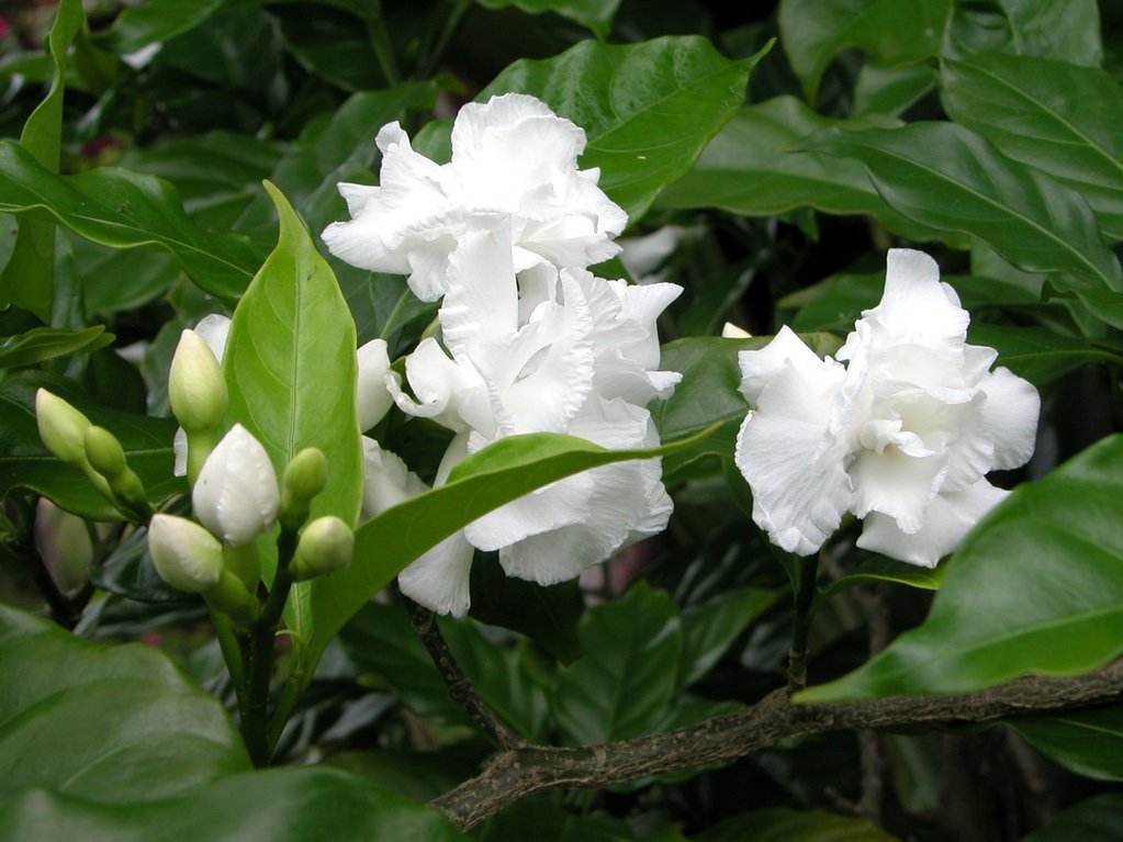 20050513-173720.jpg