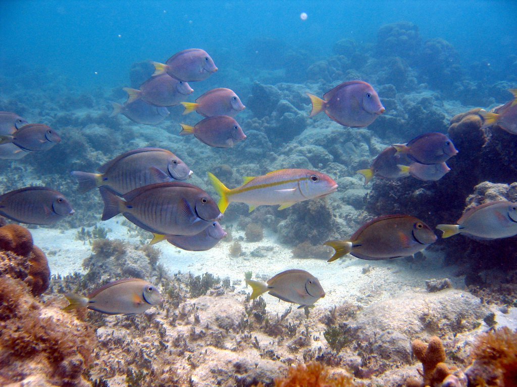 20050514-182644.jpg