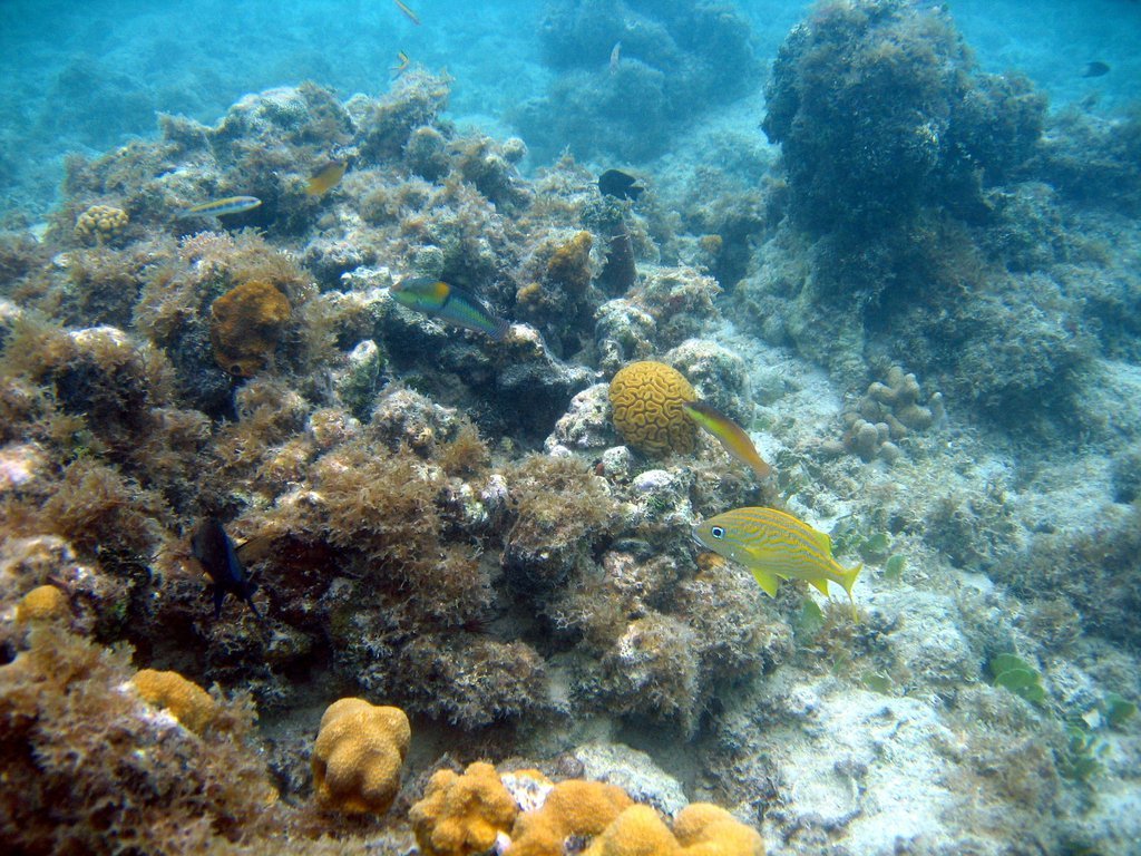 20050514-182243.jpg
